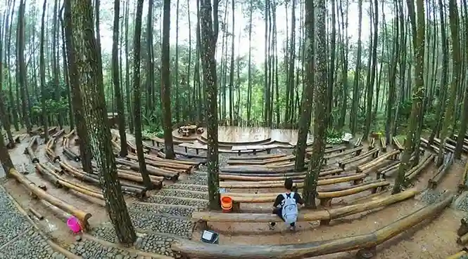 Hutan Pinus Mangunan 