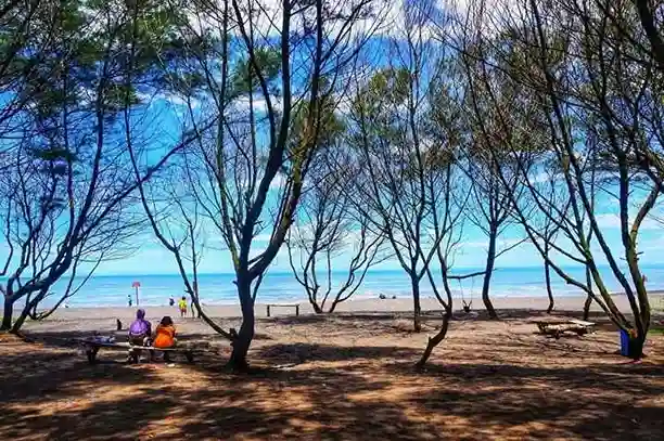 Pantai Cangkring Jogja