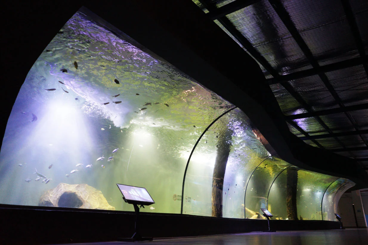 Aquarium Indonesia Pangandaran Deskripsi
