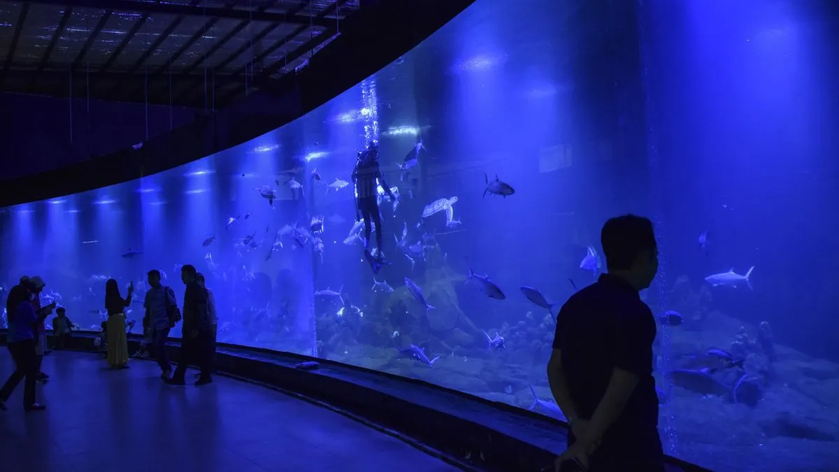 Cara Beli Tiket Aquarium Pangandaran Secara Online