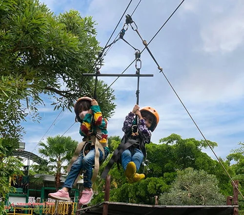 Flying Fox Amanah Borneo Park