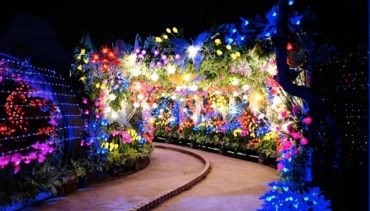 Harga Tiket Masuk Malang Night Paradise_