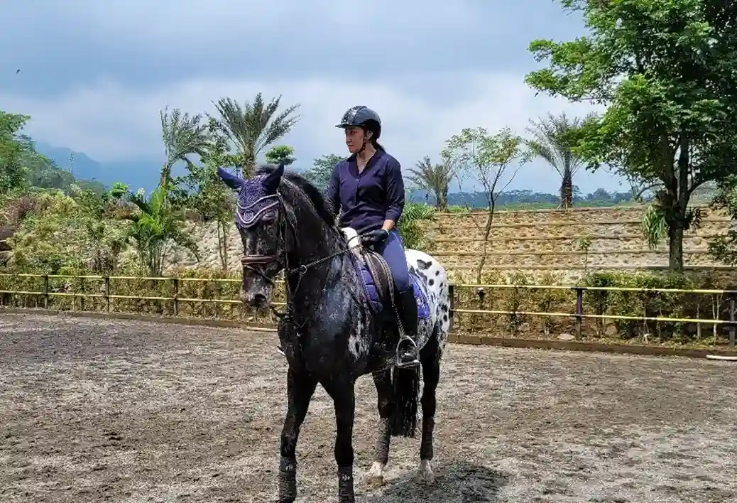 Horse Ride & Pony Ride_