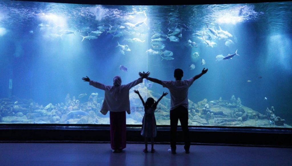 Informasi Lengkap Seputar Aquarium Indonesia Pangandaran