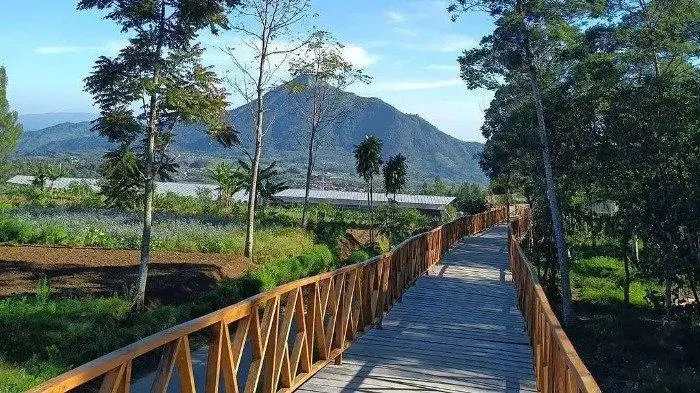 WIsata Kopeng Salatiga - Merbabu Park