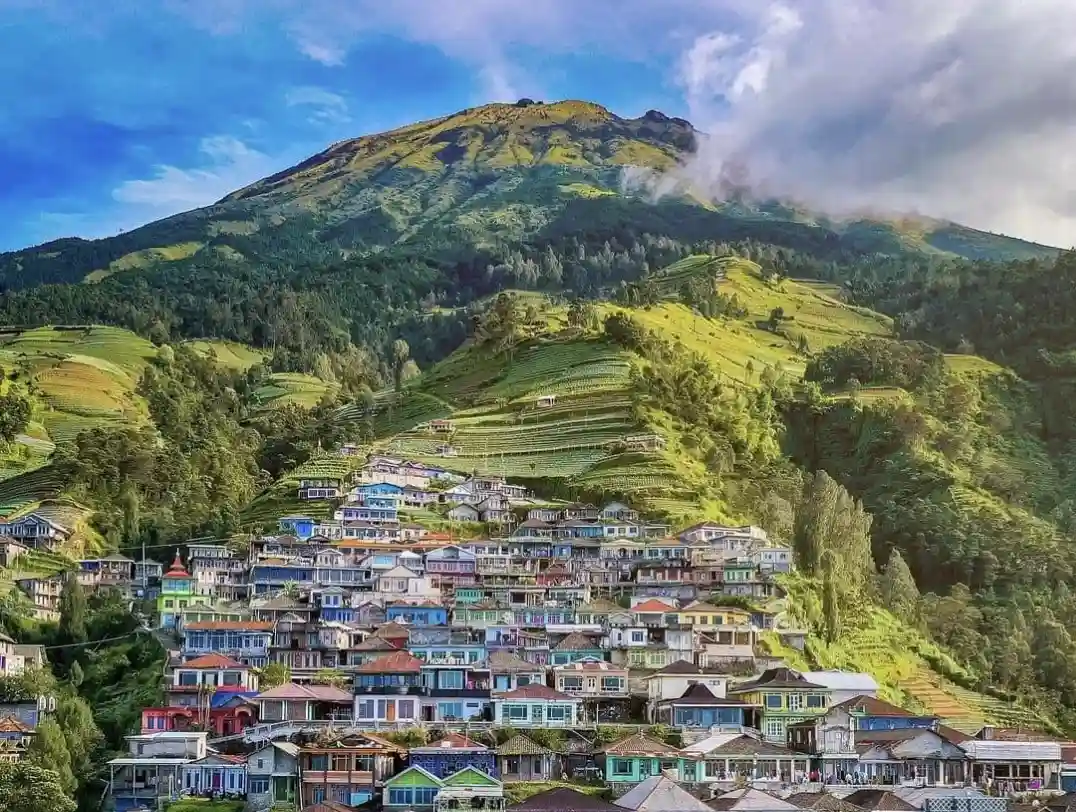 5. Nepal Van Java Dusun Butuh