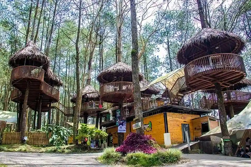 Taman Wisata Kopeng - wisata magelang