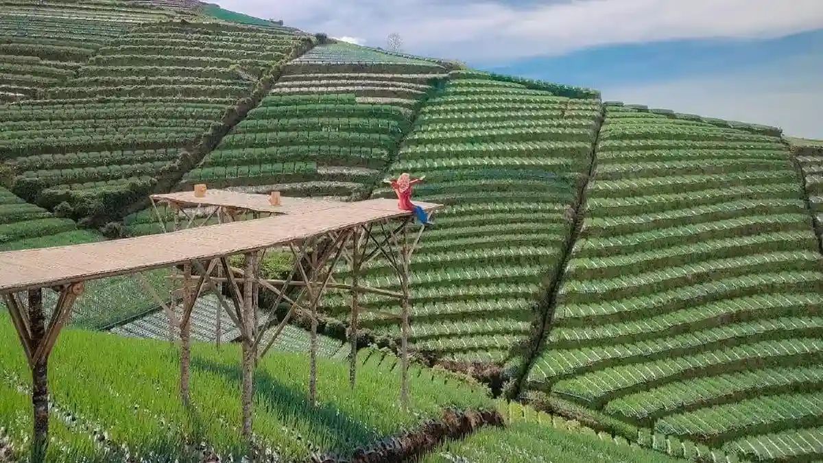 Terasering Sitegong Magelang