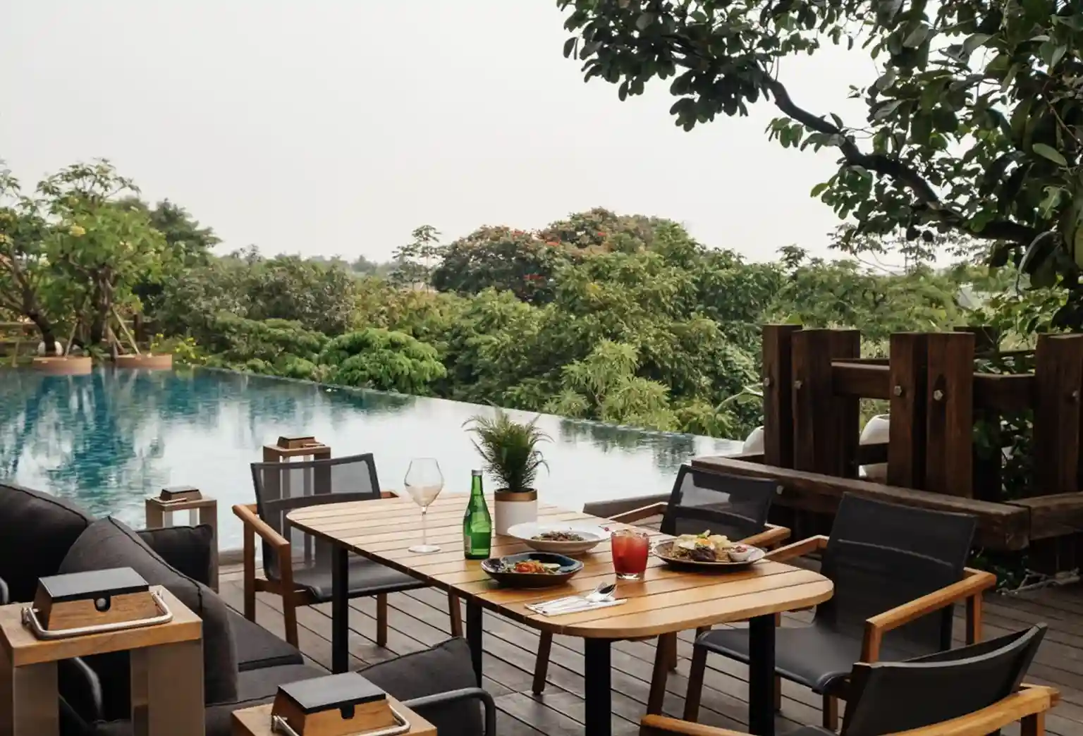 The Forest at The Veranda