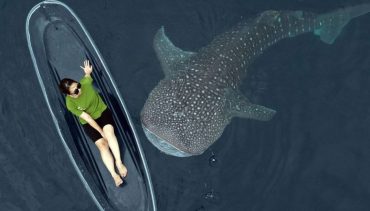 Wisata perahu - Wisata Hiu Paus Botubarani Gorontalo