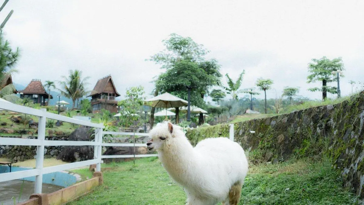 kebun binatang mini Santosa Park