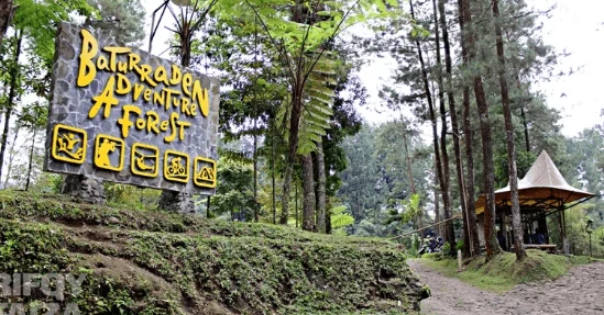 Baturraden Adventure Forest