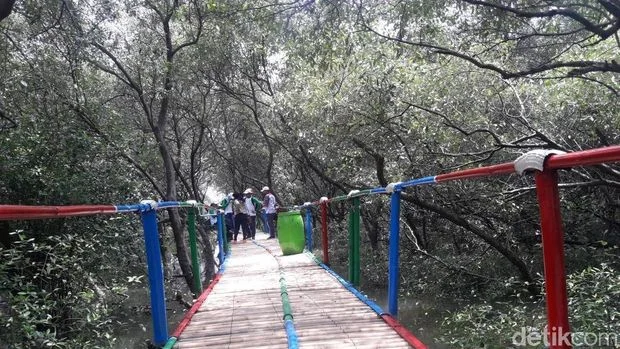 Hutan Mangrove Muara Gembong