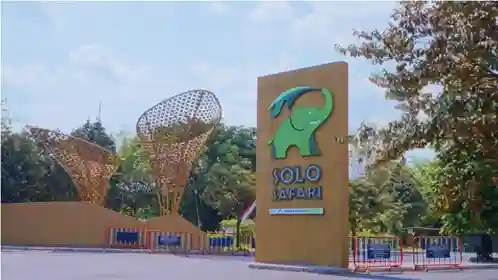 Wisata Jawa Tengah  Terbaru - Solo Safari