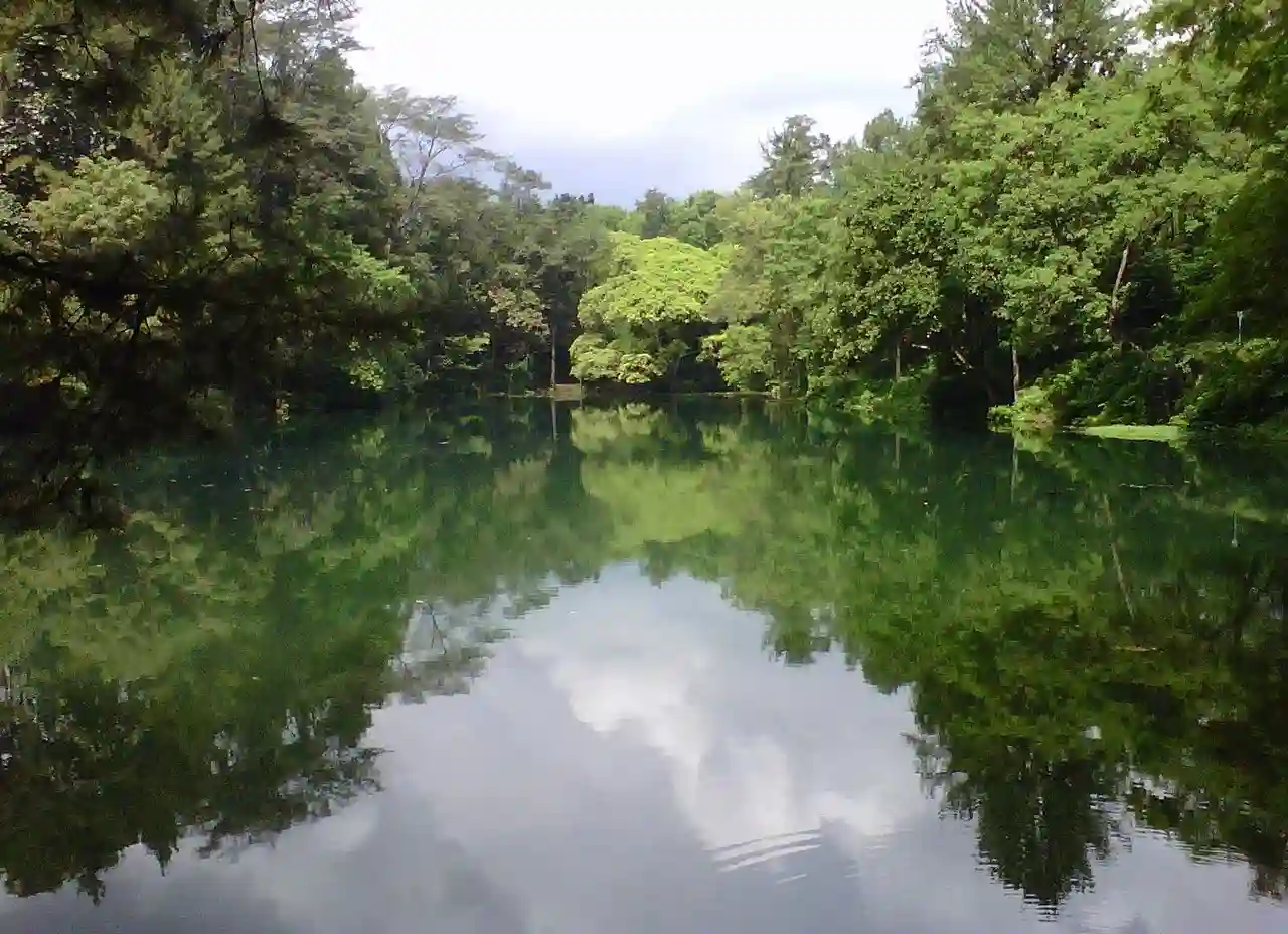 Telaga Remis