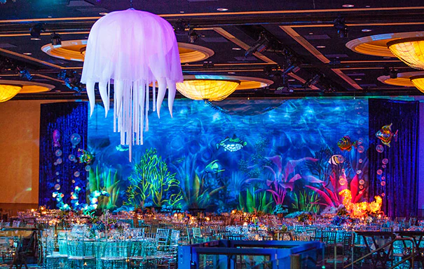 Under The Sea