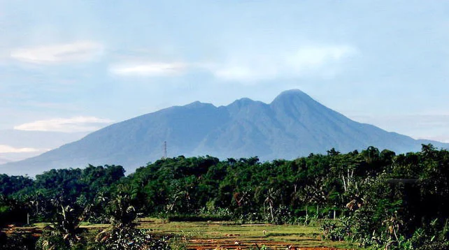 Wisata Sukabumi gunung halimun 