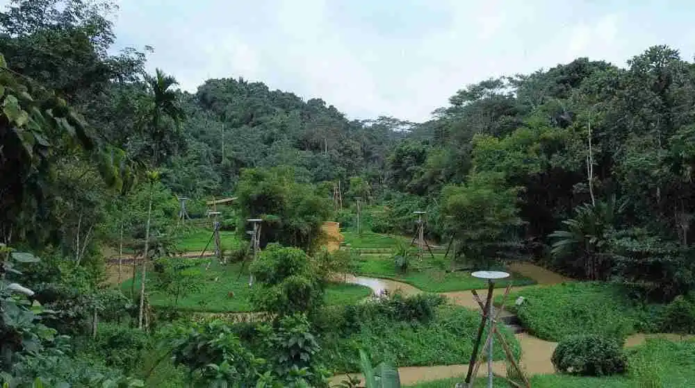 Lokasi dan Jam Operasional Orangutan Haven