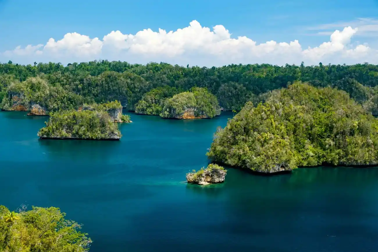 the best Indonesian Conservation Areas