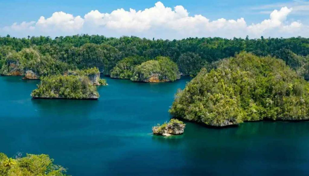 10 Kawasan Konservasi Indonesia dengan Flora dan Fauna Cantik dan Menawan_