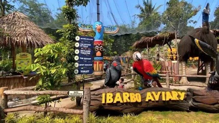 Ibarbo Aviary- Tempatnya Para Burung Eksotis