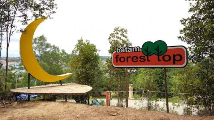 Batam Forest Top