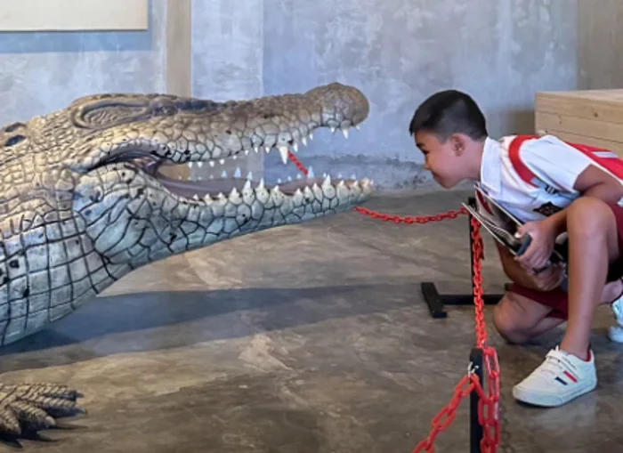 Daya Tarik Animalium