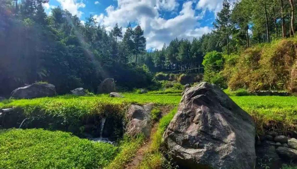 Desa Wisata Poncokusumo Malang- Daya Tarik, Fasilitas dan Lokasinya_