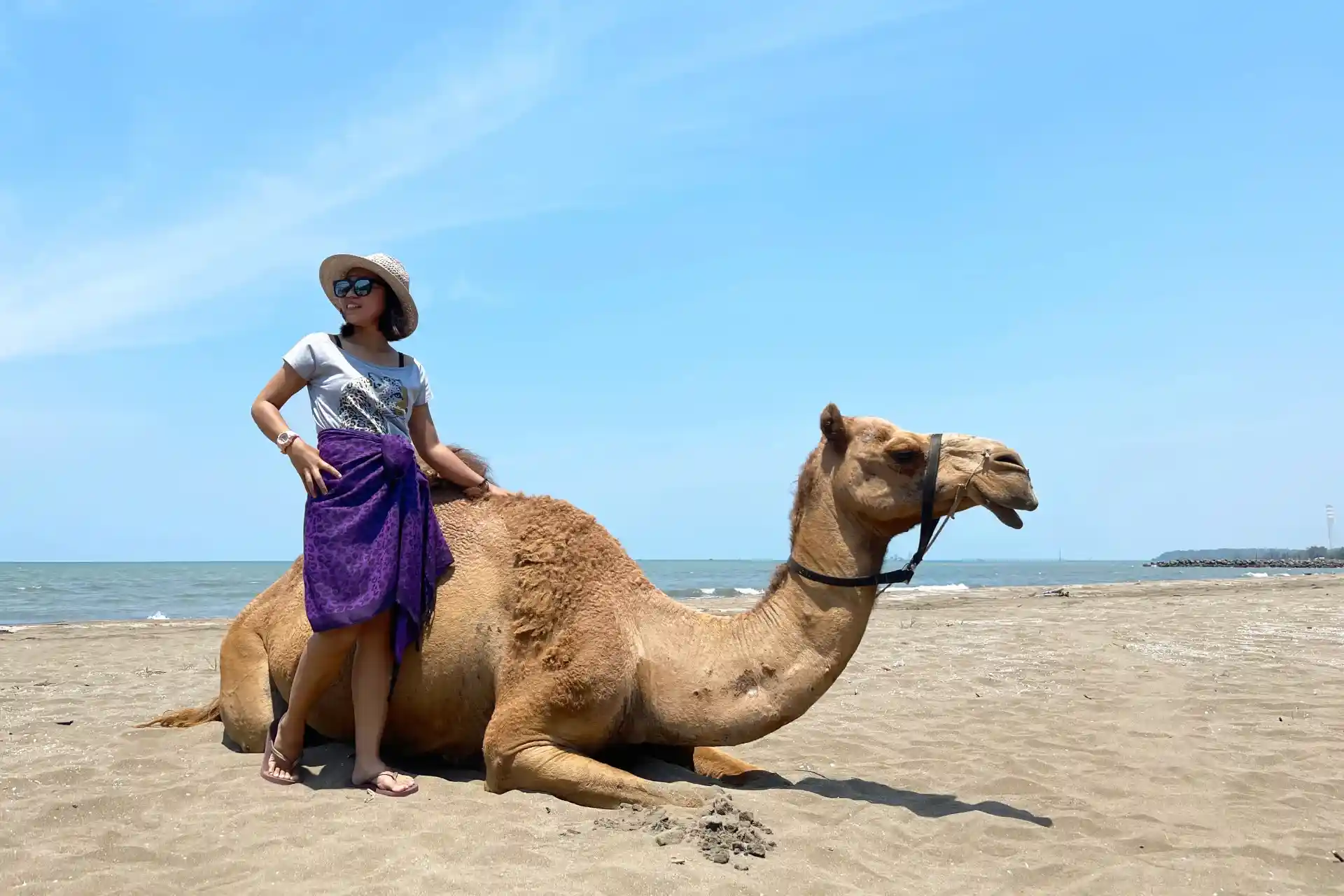 Harga Tiket Masuk Safari Beach Jateng