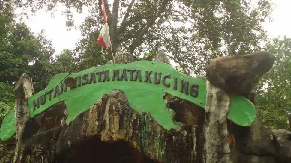 Hutan Wisata Mata Kucing
