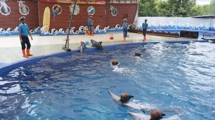 Jadwal Pertunjukan di Safari Beach Jateng