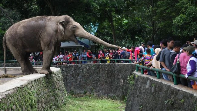 Kebun Binatang Ragunan