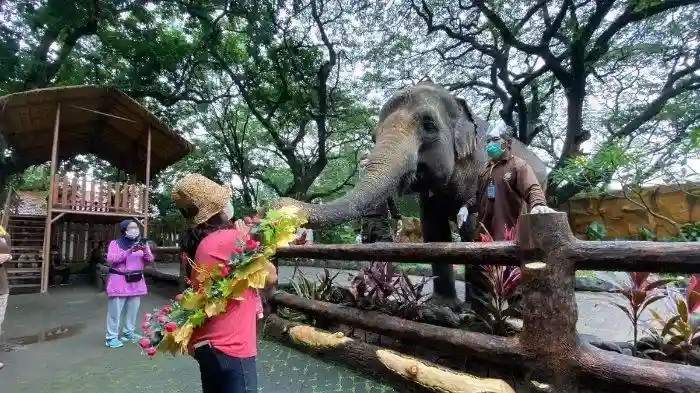 Kebun Binatang Surabaya (KBS)