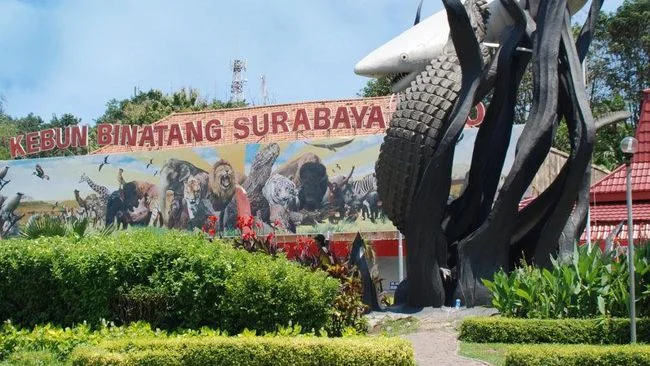 Rekomendasi Wisata Akhir Tahun Kebun Binatang Surabaya