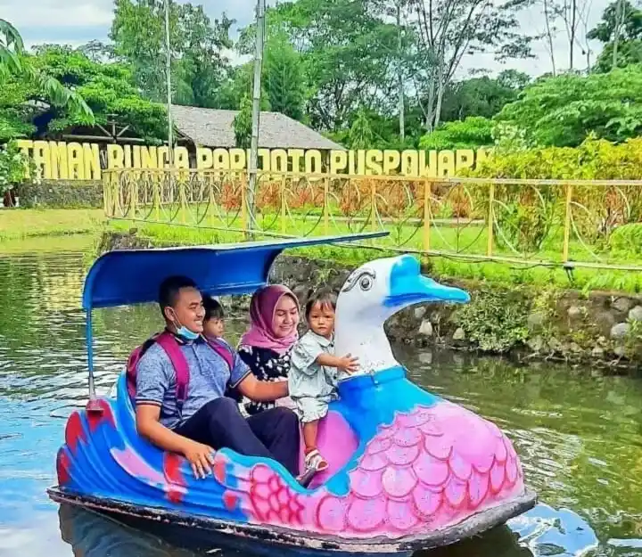 Kegiatan Outdoor Seru di mini zoo