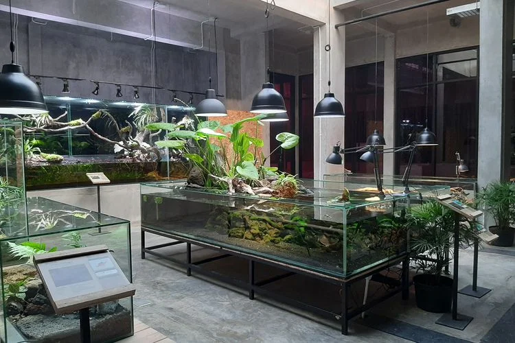 Kegiatan yang Bisa Dilakukan di Animalium BRIN