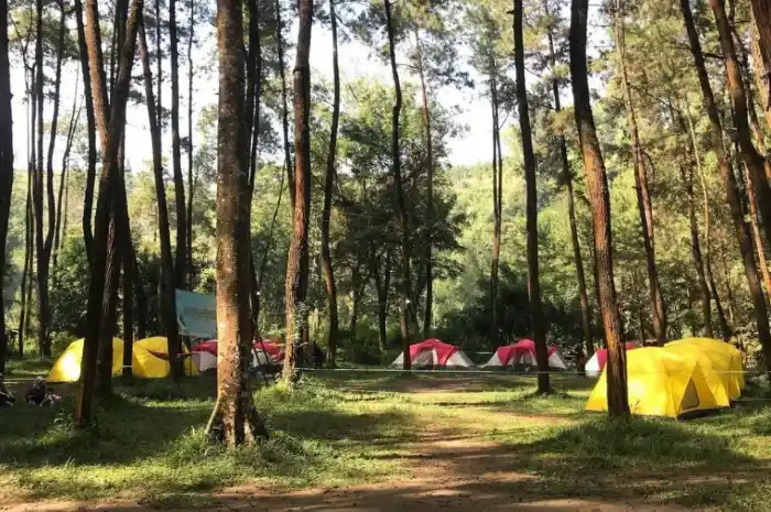 Ledok Ombo Camping Ground