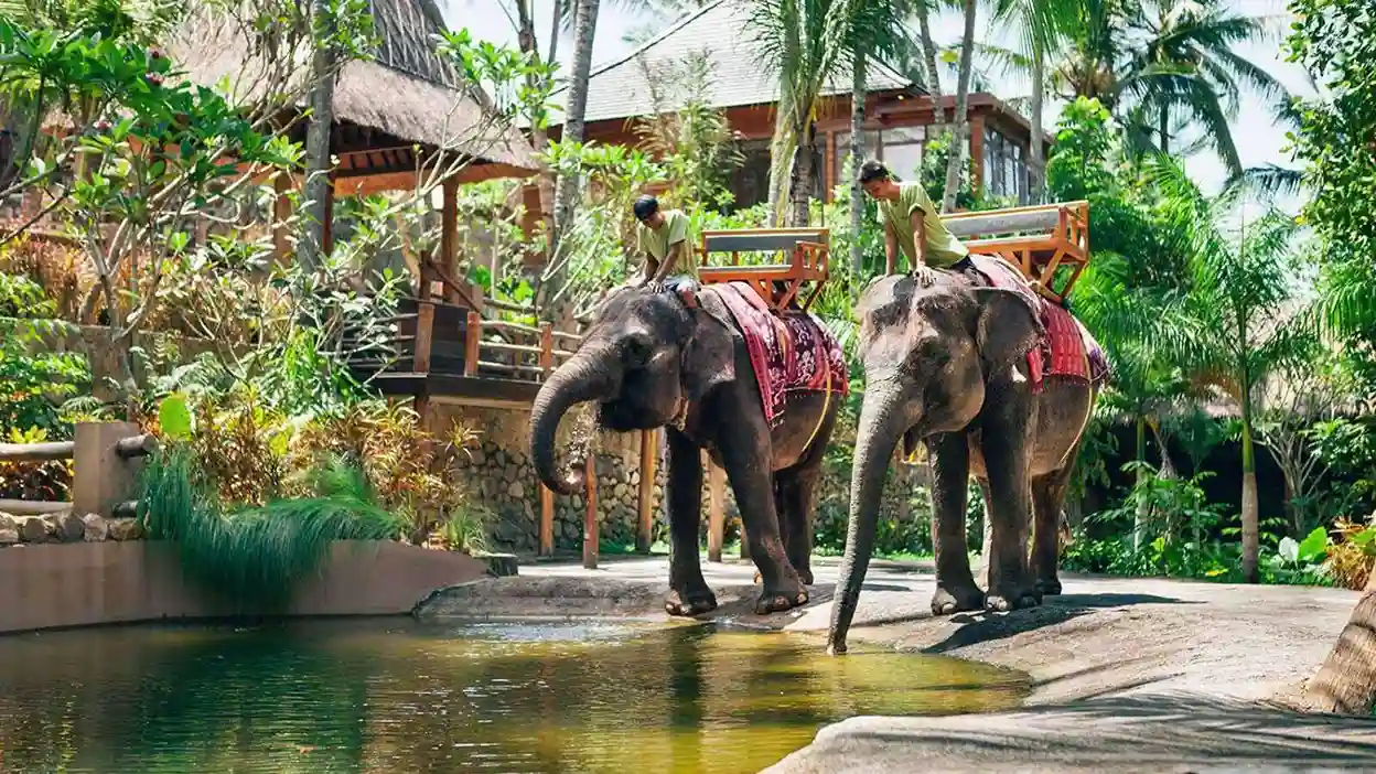 Rekomendasi Wisata Akhir Tahun 2024 - Lombok Wildlife Park