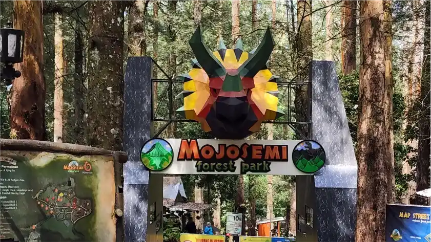 Wisata Magetan - Mojosemi Forest Park
