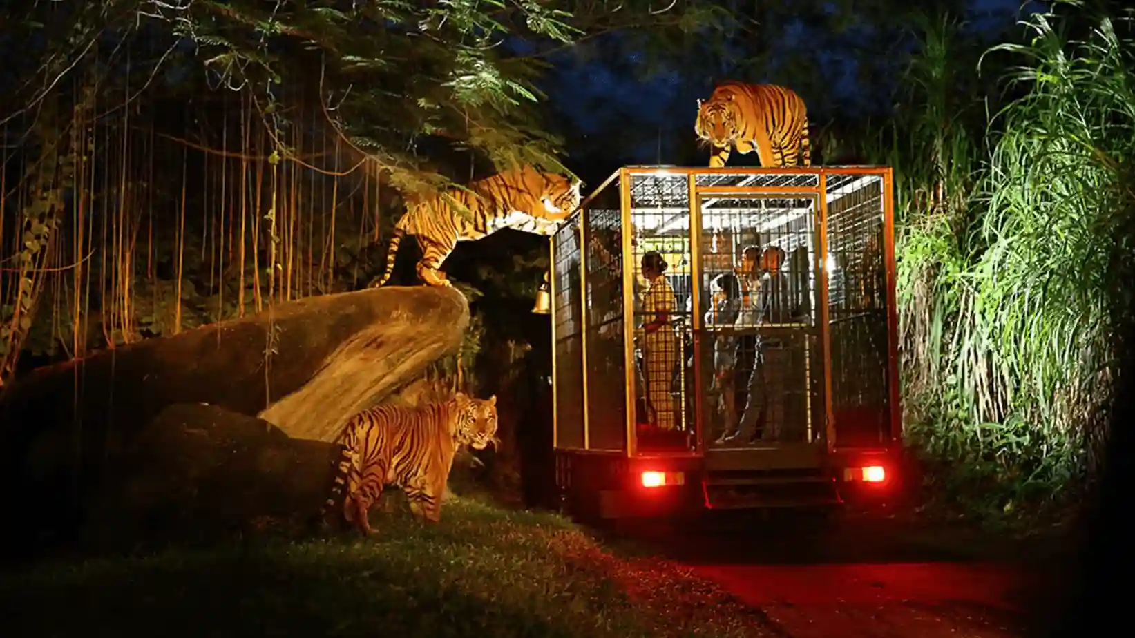 Bali Safari & Marine Park