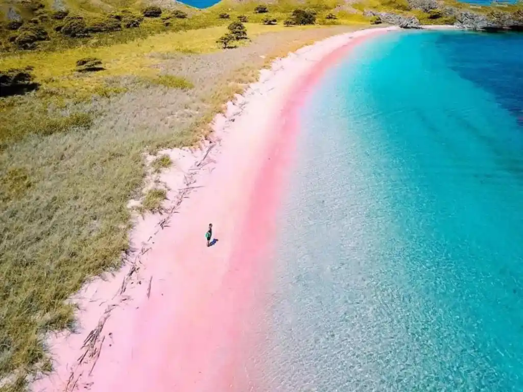 Pantai Pink