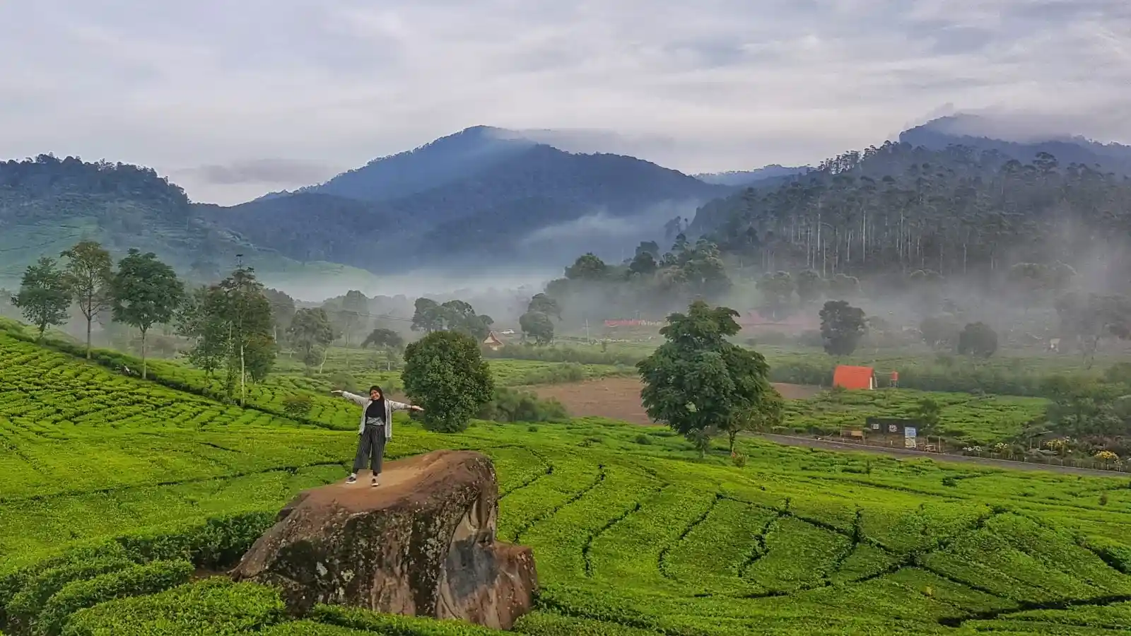 Perkebunan Teh Rancabali Ciwidey