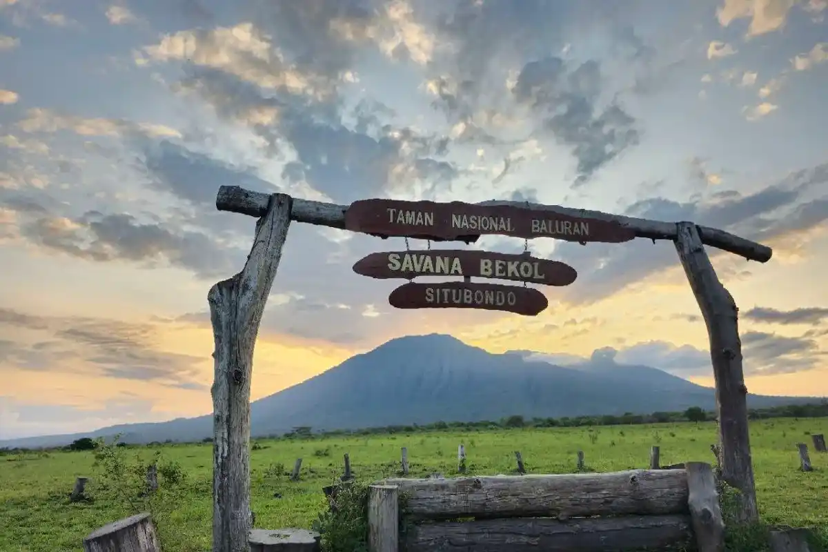 Taman Nasional Baluran