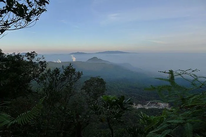 Taman Nasional Gunung Halimun-Salak