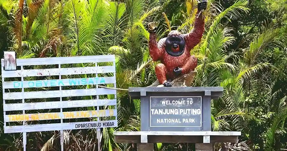 Indonesian Conservation Tanjung Puting National Park