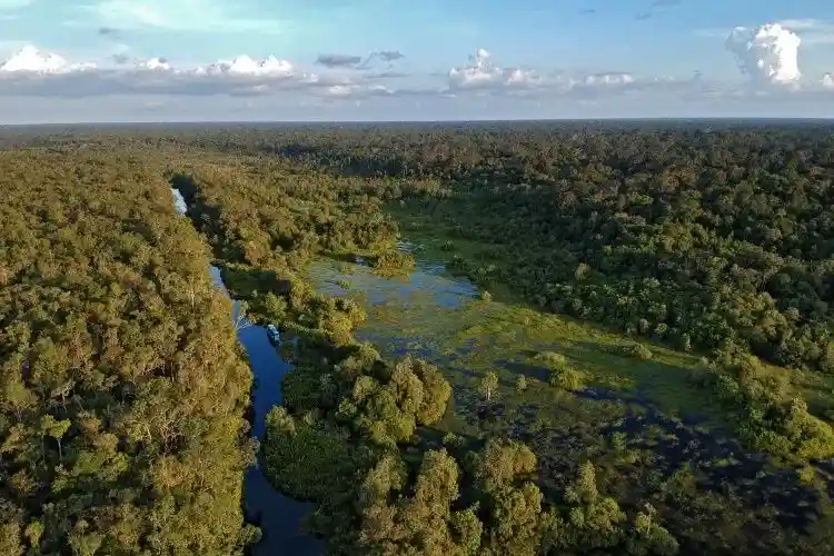 Tanjung Puting National Park