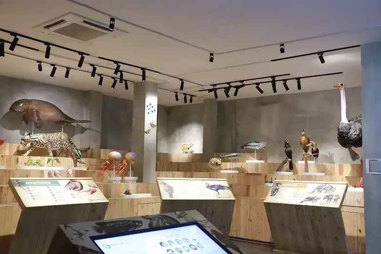 Wisata dan Belajar Mengenal Satwa di Animalium BRIN