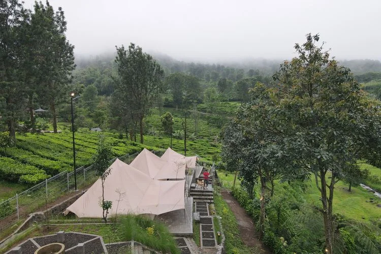 Agrowisata Gunung Mas