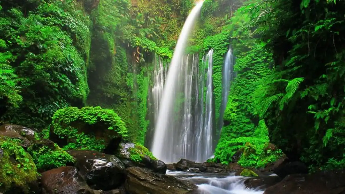 Air Terjun Sentani Cyclop