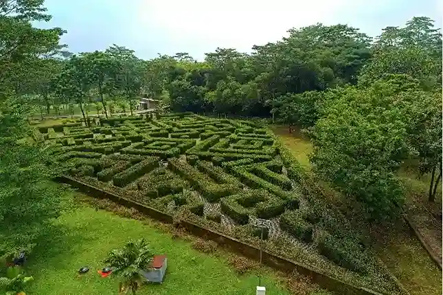 Aktivitas Seru yang Bisa Dilakukan di Kebun Raya Indrokilo